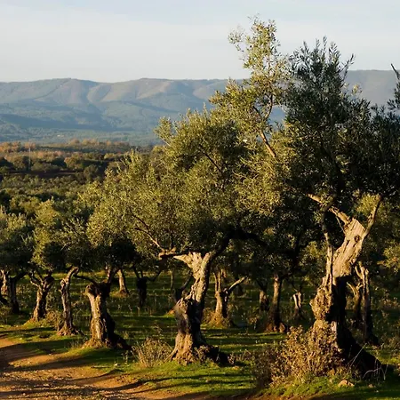 Hotel Hábitat Cigüeña Negra