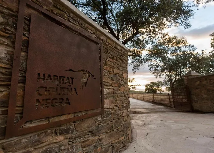 Habitat Cigueena Negra Вальверде-дель-Фресно