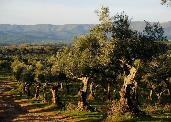 Hotel Habitat Cigueena Negra