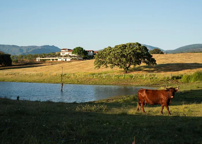 Habitat Cigueena Negra Отель 4*