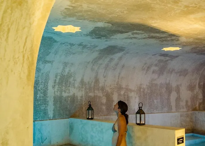 Habitat Cigueena Negra Valverde del Fresno