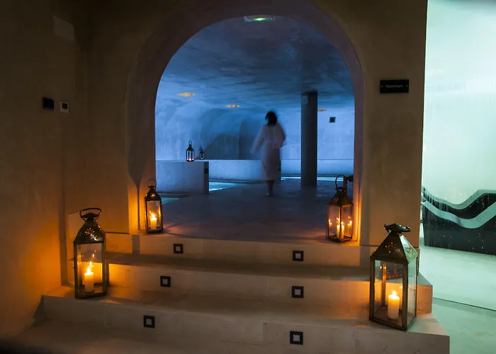 Habitat Cigueena Negra